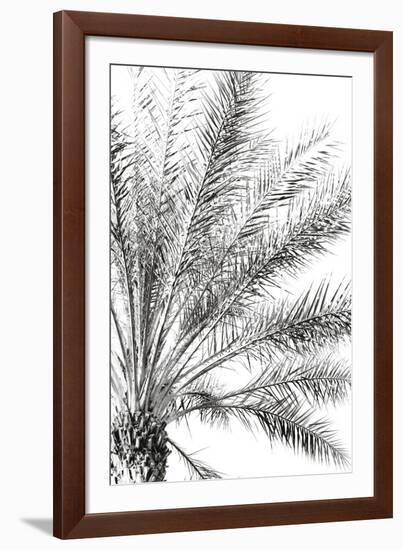 Palm Breeze Noir-Irene Suchocki-Framed Giclee Print