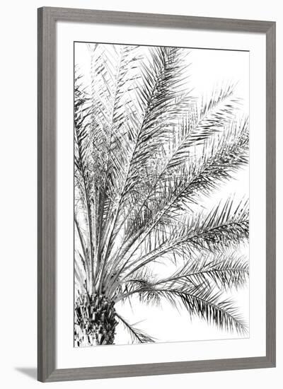 Palm Breeze Noir-Irene Suchocki-Framed Giclee Print