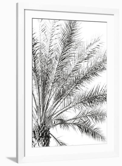 Palm Breeze Noir-Irene Suchocki-Framed Giclee Print
