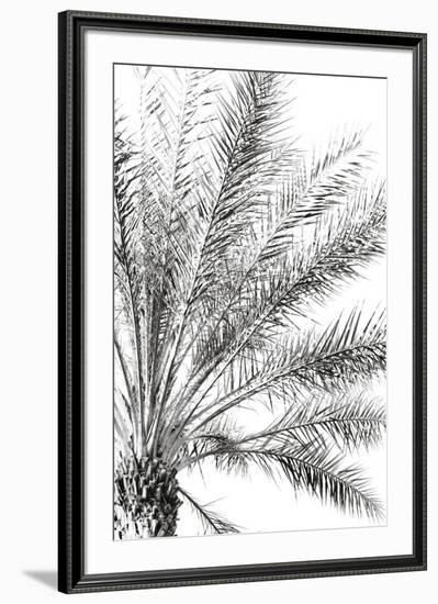 Palm Breeze Noir-Irene Suchocki-Framed Giclee Print