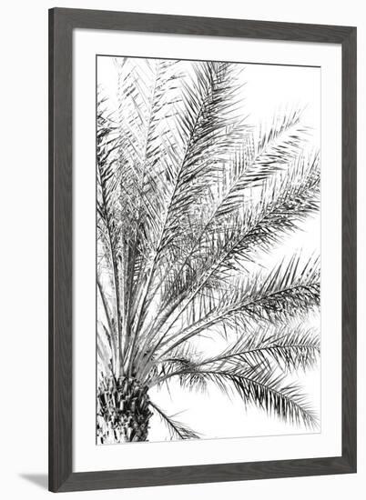 Palm Breeze Noir-Irene Suchocki-Framed Giclee Print