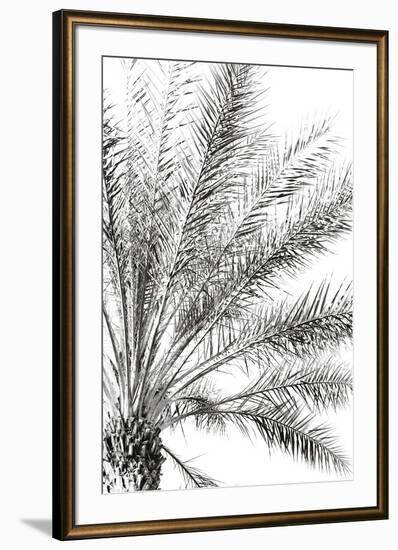 Palm Breeze Noir-Irene Suchocki-Framed Giclee Print