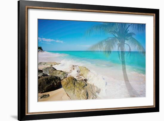 Palm By The Rocks-Susan Bryant-Framed Photo