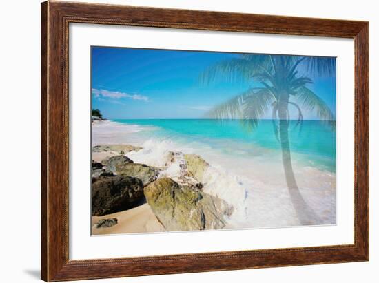 Palm By The Rocks-Susan Bryant-Framed Photo