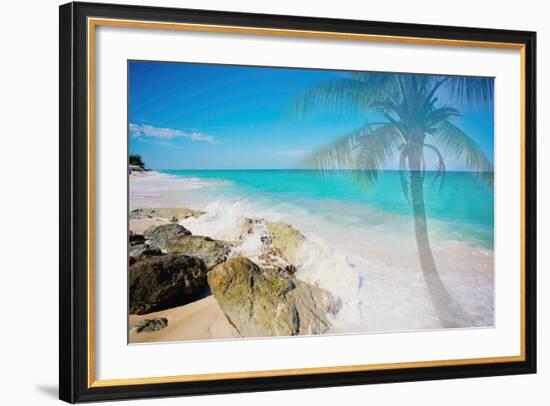 Palm By The Rocks-Susan Bryant-Framed Photo