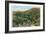 Palm Canyon, California-null-Framed Art Print