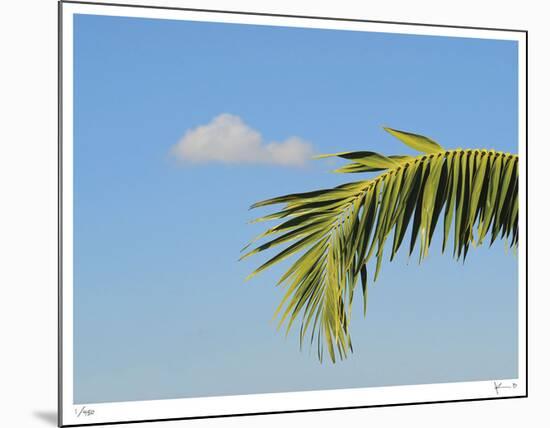 Palm Cloud Islamorada-John Gynell-Mounted Giclee Print