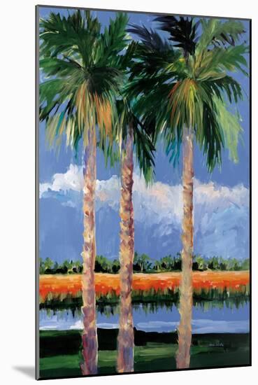 Palm Coast-Jane Slivka-Mounted Art Print