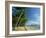 Palm Cove with Double Island Beyond, North of Cairns, Queensland, Australia, Pacific-Robert Francis-Framed Photographic Print