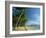 Palm Cove with Double Island Beyond, North of Cairns, Queensland, Australia, Pacific-Robert Francis-Framed Photographic Print