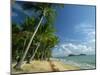 Palm Cove with Double Island Beyond, North of Cairns, Queensland, Australia, Pacific-Robert Francis-Mounted Photographic Print