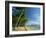 Palm Cove with Double Island Beyond, North of Cairns, Queensland, Australia, Pacific-Robert Francis-Framed Photographic Print