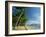 Palm Cove with Double Island Beyond, North of Cairns, Queensland, Australia, Pacific-Robert Francis-Framed Photographic Print