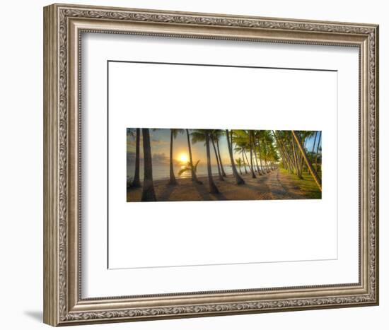 Palm Cove-Doug Cavanah-Framed Art Print