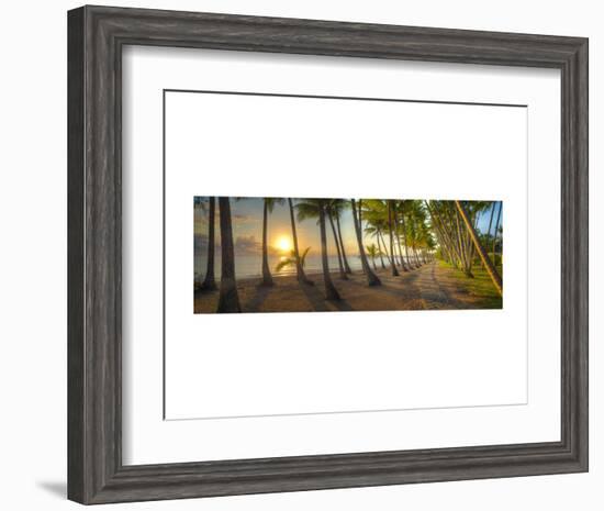 Palm Cove-Doug Cavanah-Framed Art Print