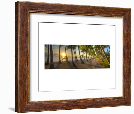 Palm Cove-Doug Cavanah-Framed Art Print