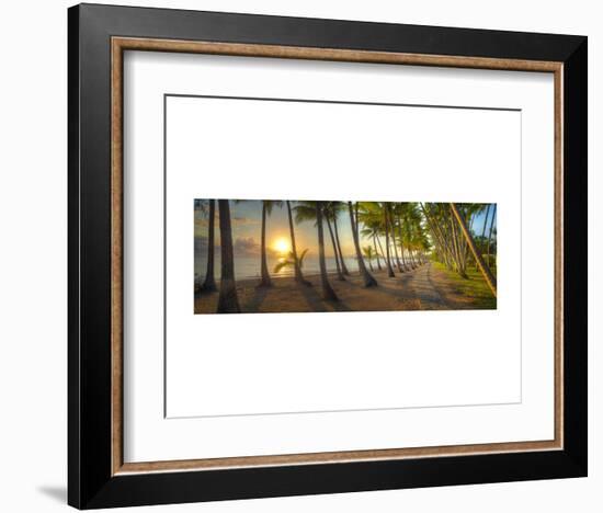 Palm Cove-Doug Cavanah-Framed Art Print