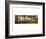 Palm Cove-Doug Cavanah-Framed Art Print