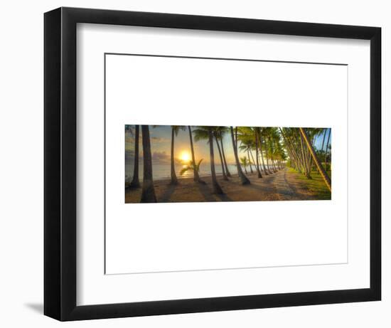 Palm Cove-Doug Cavanah-Framed Art Print