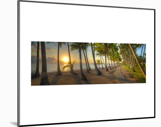 Palm Cove-Doug Cavanah-Mounted Art Print