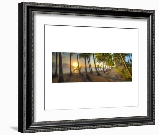 Palm Cove-Doug Cavanah-Framed Art Print