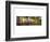 Palm Cove-Doug Cavanah-Framed Art Print