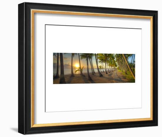 Palm Cove-Doug Cavanah-Framed Art Print