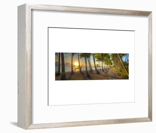 Palm Cove-Doug Cavanah-Framed Art Print