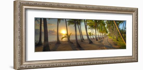 Palm Cove-Doug Cavanah-Framed Art Print