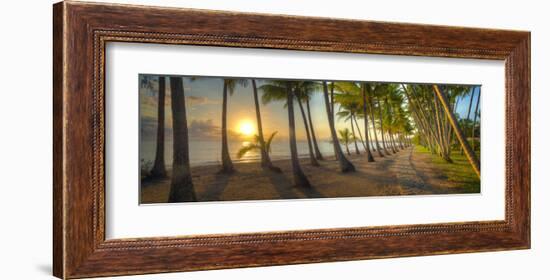 Palm Cove-Doug Cavanah-Framed Art Print