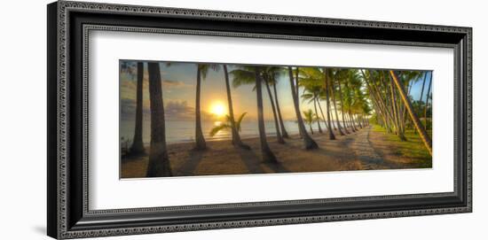 Palm Cove-Doug Cavanah-Framed Art Print