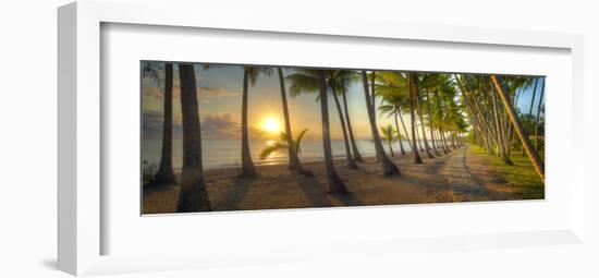 Palm Cove-Doug Cavanah-Framed Art Print