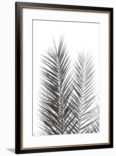 Palm Crisp Noir-Irene Suchocki-Framed Giclee Print