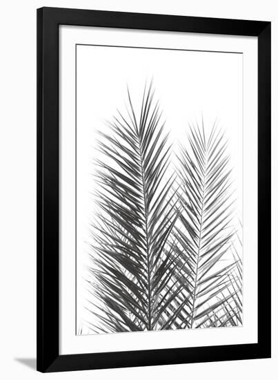 Palm Crisp Noir-Irene Suchocki-Framed Giclee Print