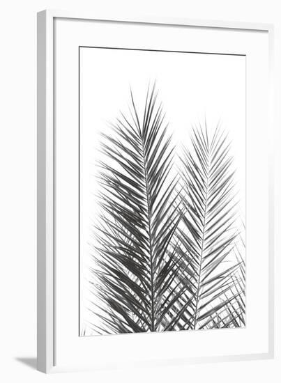 Palm Crisp Noir-Irene Suchocki-Framed Giclee Print