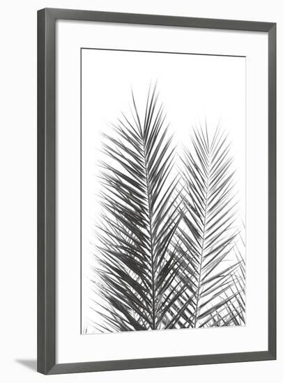 Palm Crisp Noir-Irene Suchocki-Framed Giclee Print