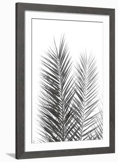 Palm Crisp Noir-Irene Suchocki-Framed Giclee Print