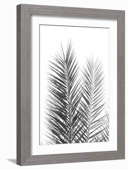 Palm Crisp Noir-Irene Suchocki-Framed Giclee Print