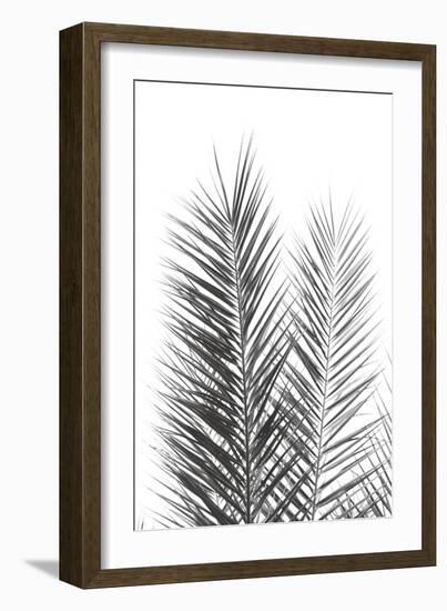 Palm Crisp Noir-Irene Suchocki-Framed Giclee Print