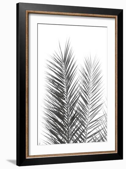 Palm Crisp Noir-Irene Suchocki-Framed Giclee Print