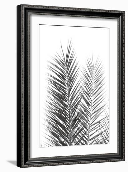 Palm Crisp Noir-Irene Suchocki-Framed Giclee Print