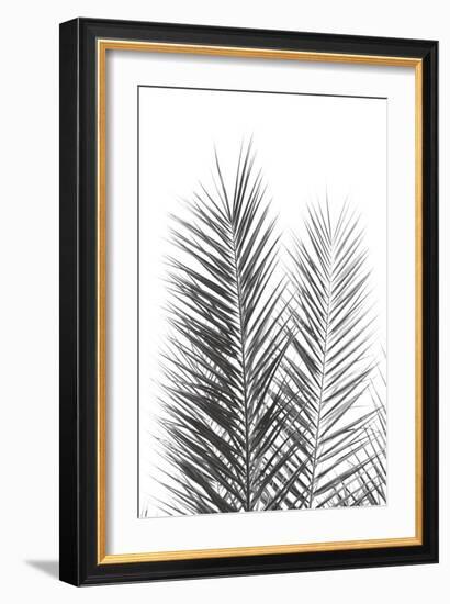 Palm Crisp Noir-Irene Suchocki-Framed Giclee Print