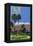 Palm Desert, California - Golfing Scene-Lantern Press-Framed Stretched Canvas