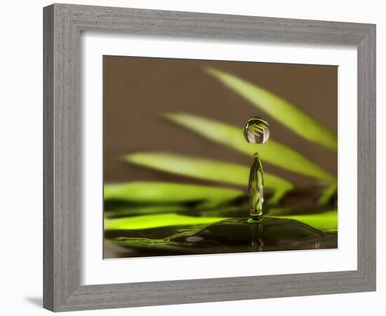 Palm Drops in Chocolate-Heidi Westum-Framed Photographic Print