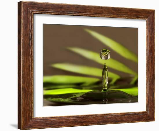 Palm Drops in Chocolate-Heidi Westum-Framed Photographic Print