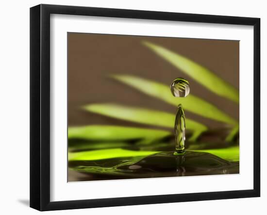 Palm Drops in Chocolate-Heidi Westum-Framed Photographic Print