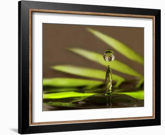 Palm Drops in Chocolate-Heidi Westum-Framed Photographic Print