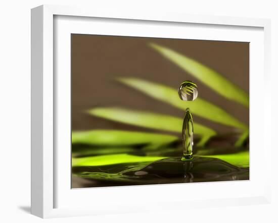 Palm Drops in Chocolate-Heidi Westum-Framed Photographic Print