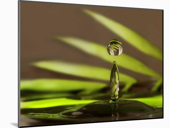 Palm Drops in Chocolate-Heidi Westum-Mounted Photographic Print