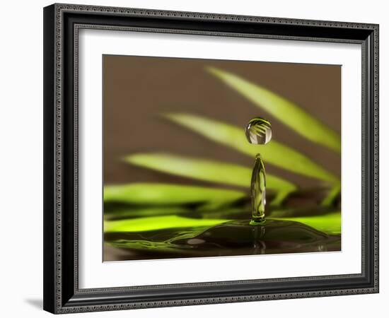 Palm Drops in Chocolate-Heidi Westum-Framed Photographic Print